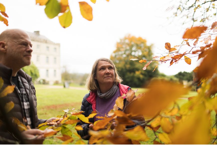 two people looking at autumn leaves